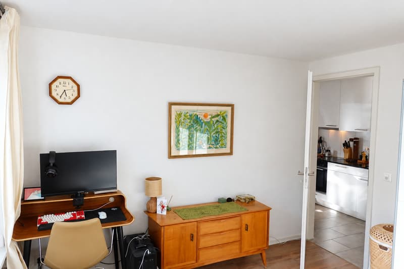 Renovated 2 room apartment in central Wiedikon with unique view (5)