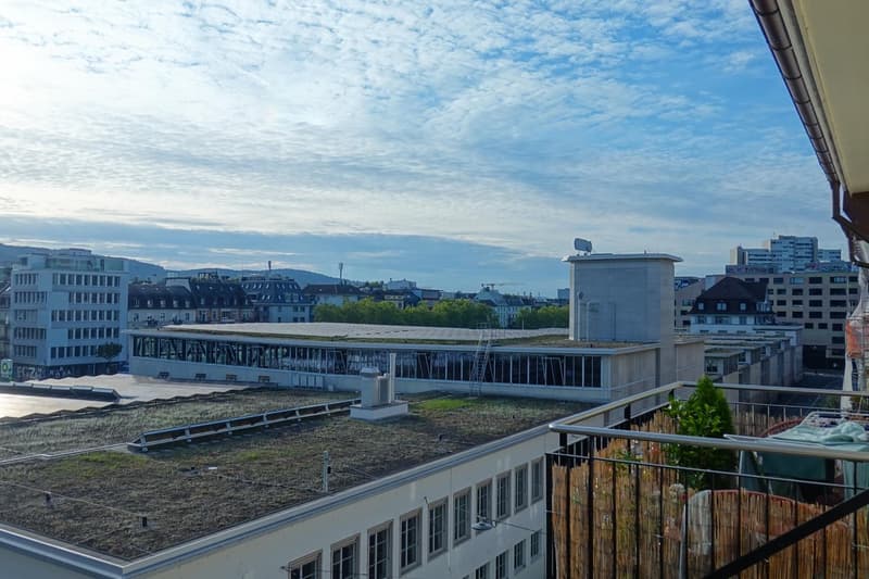 Renovated 2 room apartment in central Wiedikon with unique view (9)