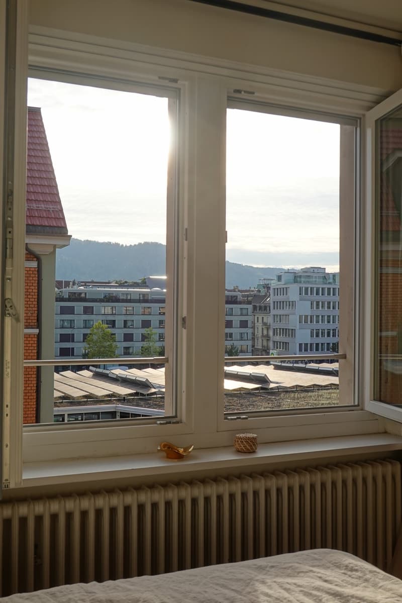 Renovated 2 room apartment in central Wiedikon with unique view (4)
