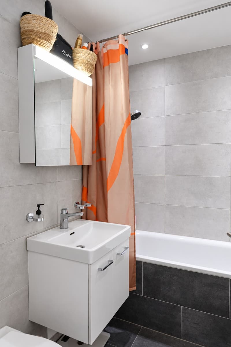 Renovated 2 room apartment in central Wiedikon with unique view (7)