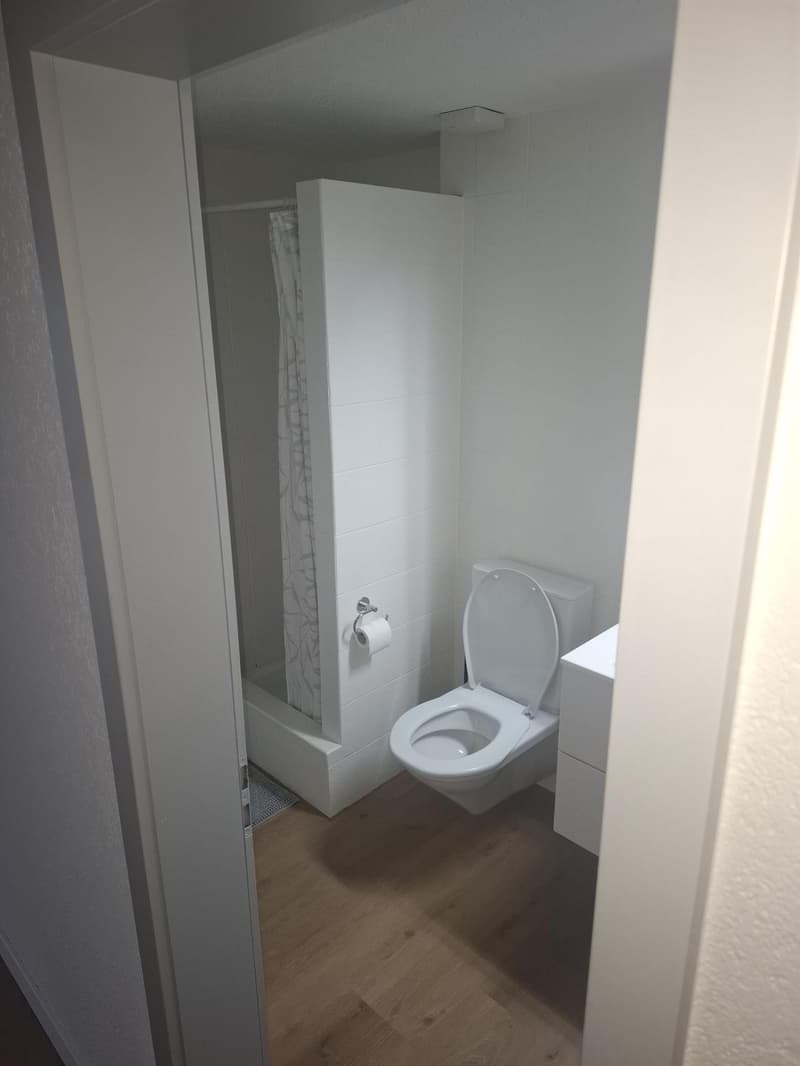 2.5 Zimmerwohnung an bester Lage. (4)