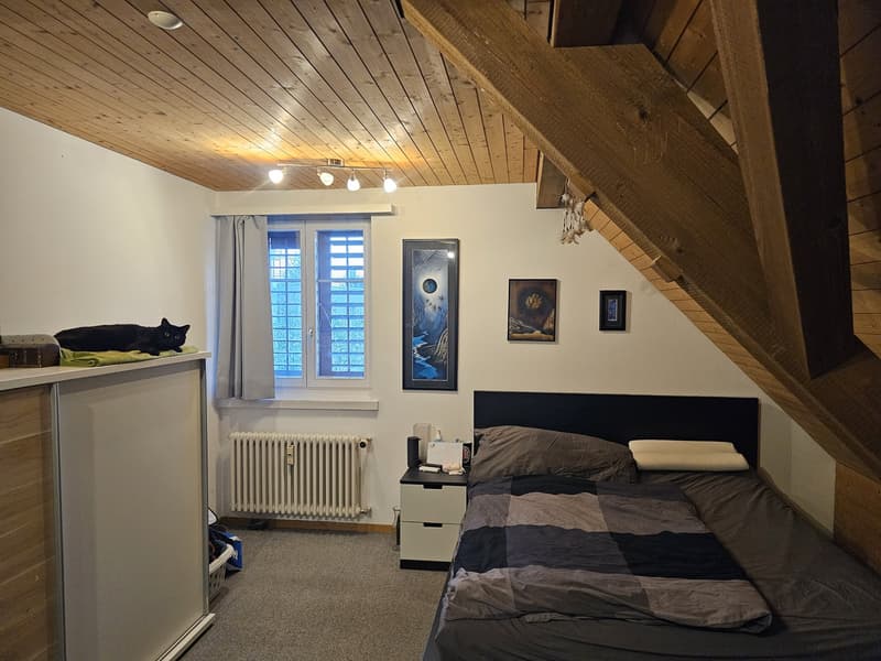 Gemütliche 3.5-Zimmer-Dachwohnung mit Galerie in Frauenfeld Nachmieter gesucht (5)