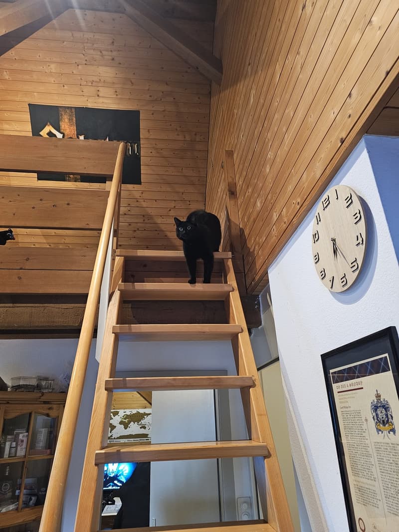 Gemütliche 3.5-Zimmer-Dachwohnung mit Galerie in Frauenfeld Nachmieter gesucht (3)