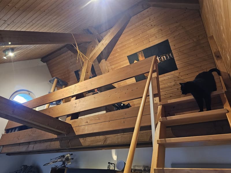 Gemütliche 3.5-Zimmer-Dachwohnung mit Galerie in Frauenfeld Nachmieter gesucht (4)