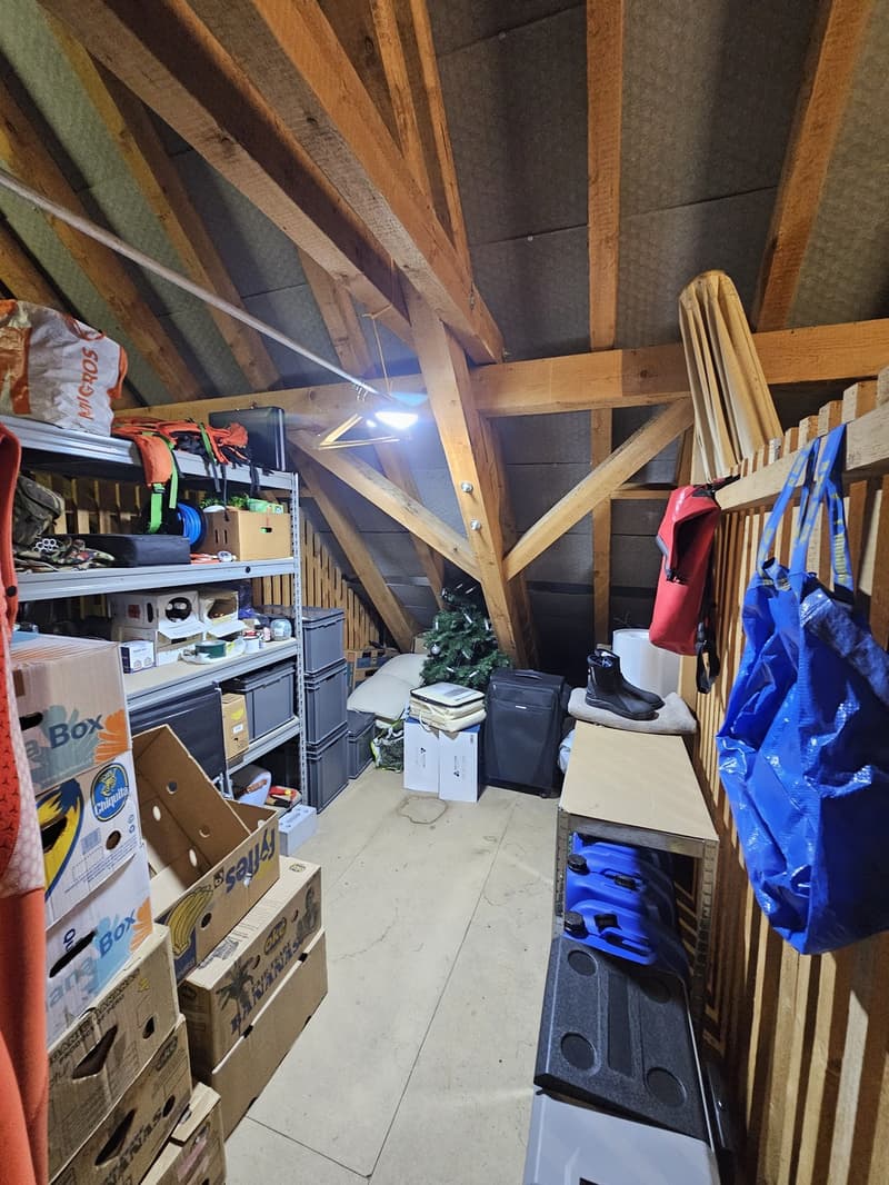 Gemütliche 3.5-Zimmer-Dachwohnung mit Galerie in Frauenfeld Nachmieter gesucht (10)