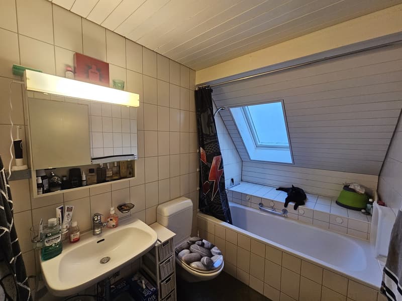 Gemütliche 3.5-Zimmer-Dachwohnung mit Galerie in Frauenfeld Nachmieter gesucht (9)