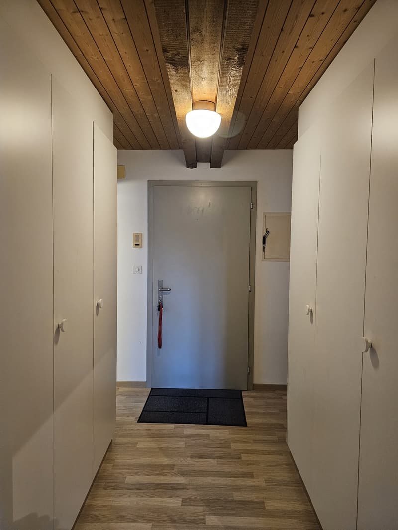 Gemütliche 3.5-Zimmer-Dachwohnung mit Galerie in Frauenfeld Nachmieter gesucht (7)