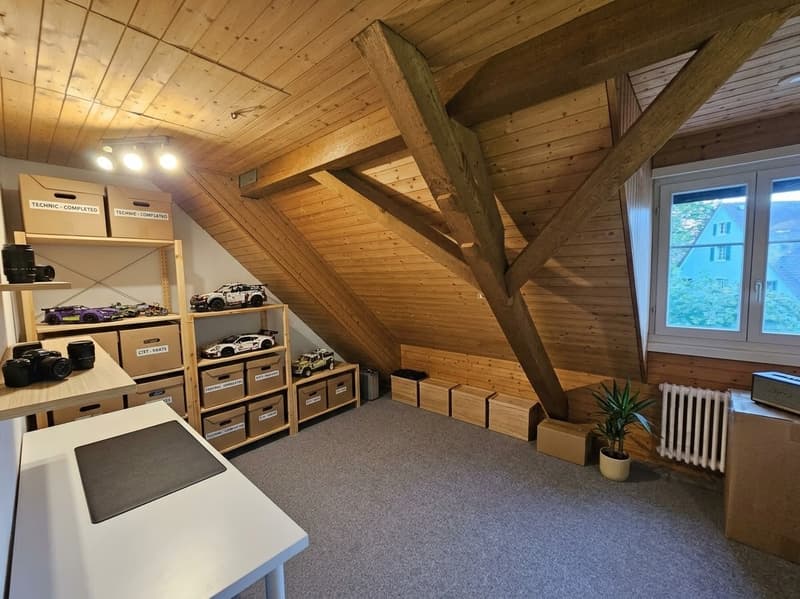 Gemütliche 3.5-Zimmer-Dachwohnung mit Galerie in Frauenfeld Nachmieter gesucht (8)
