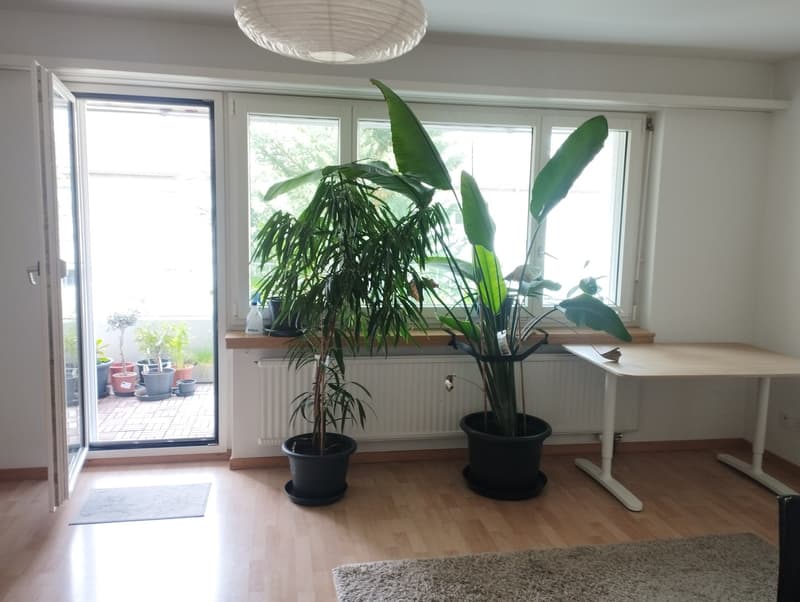 Looking for a peaceful place to call home? We have a room available in our spacious 3-room apartment with: (11)