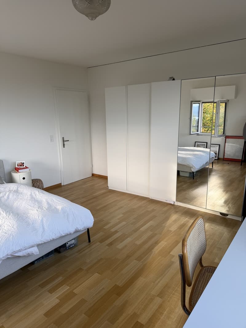 Room available from Nov (8)