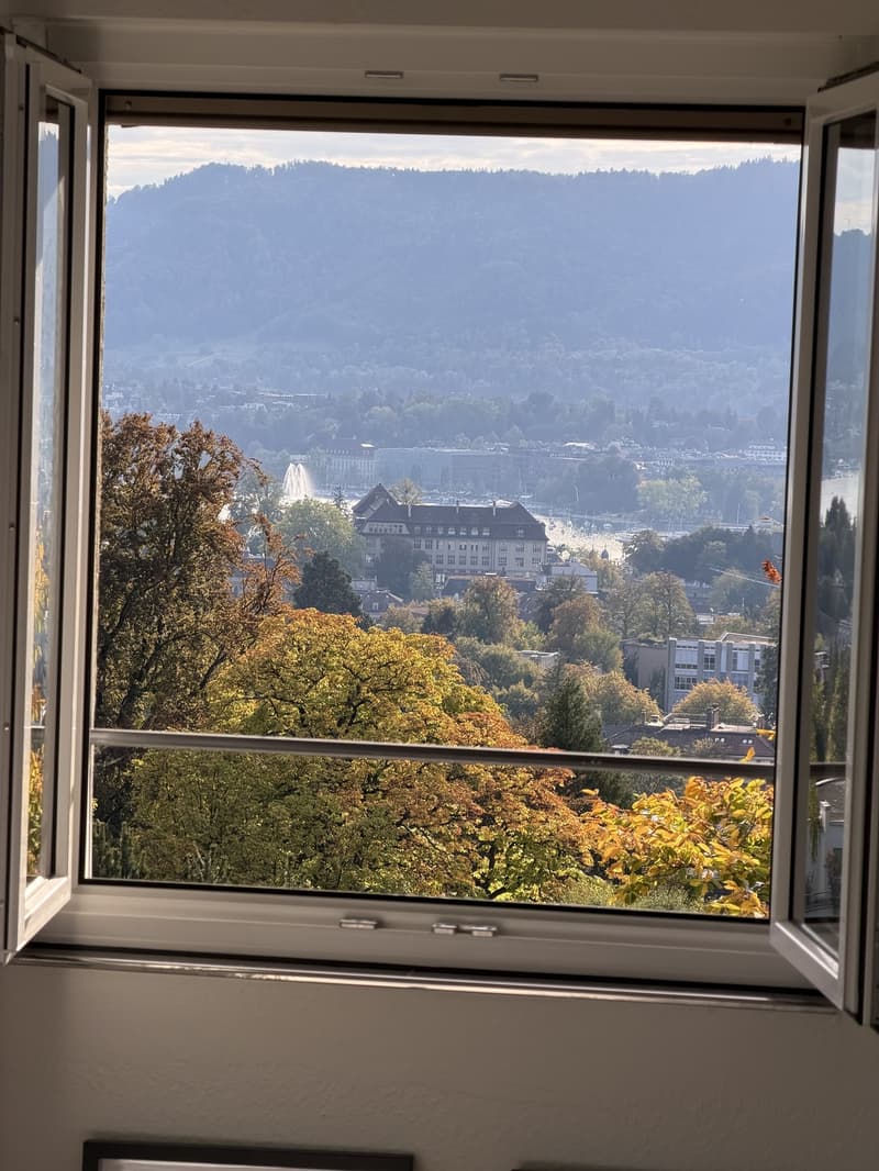 Room available from Nov (7)