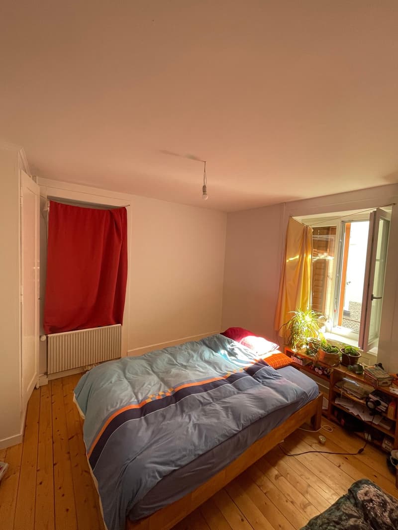 WG-Zimmer in zentraler und schöner Altbauwohnung im Parterre mit Gartensitzplatz zu vermieten (1)