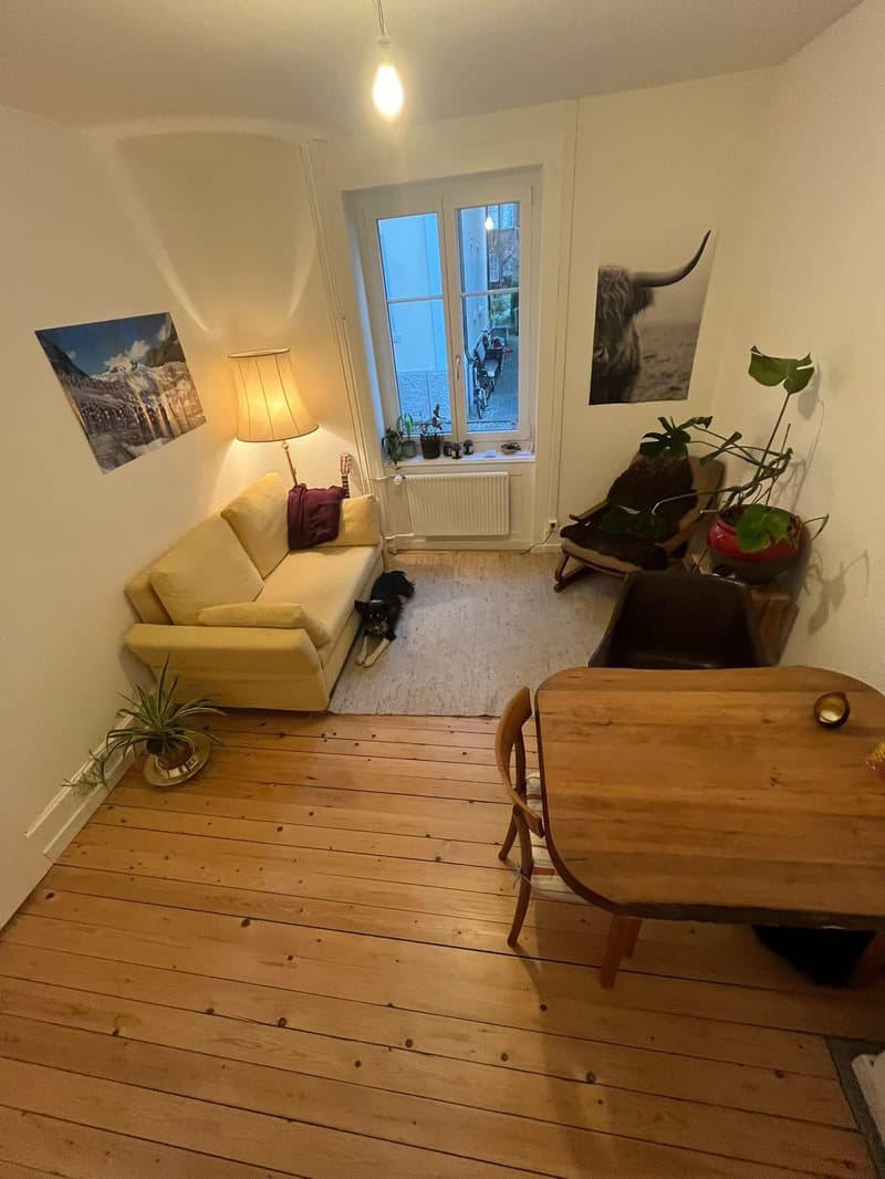 WG-Zimmer in zentraler und schöner Altbauwohnung im Parterre mit Gartensitzplatz zu vermieten (3)