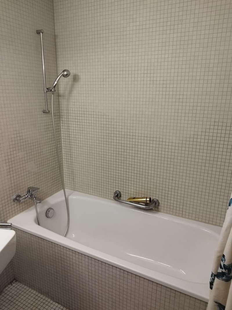 Furnished 2.5-Room Apartment with Large Limmat-Facing Terrace Dietikon | 10 Min to Zürich HB (5)