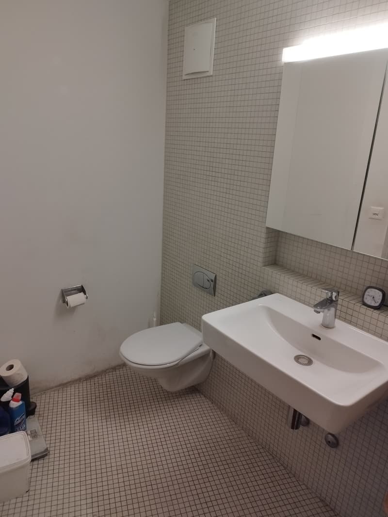 Furnished 2.5-Room Apartment with Large Limmat-Facing Terrace Dietikon | 10 Min to Zürich HB (2)
