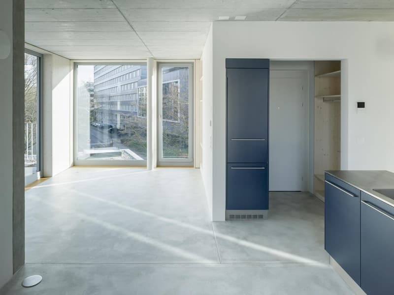 Exklusive 3.5-Zimmer-Attikawohnung mit grosser Terrasse in den Bäumen (2)