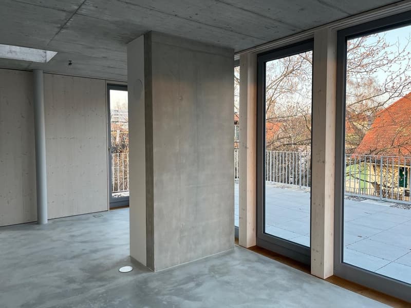 Exklusive 3.5-Zimmer-Attikawohnung mit grosser Terrasse in den Bäumen (7)