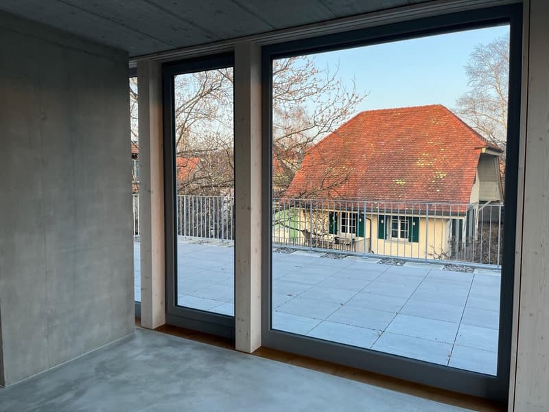 Exklusive 3.5-Zimmer-Attikawohnung mit grosser Terrasse in den Bäumen (11)