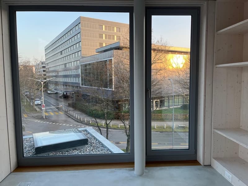 Exklusive 3.5-Zimmer-Attikawohnung mit grosser Terrasse in den Bäumen (3)