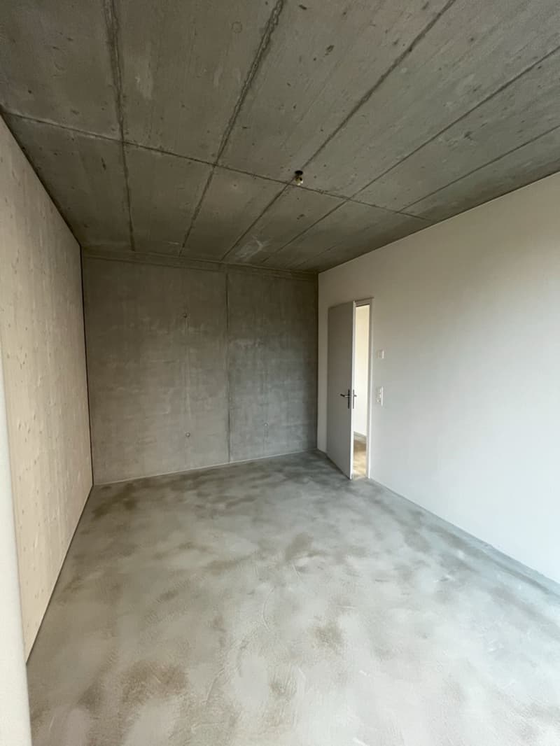 Exklusive 3.5-Zimmer-Attikawohnung mit grosser Terrasse in den Bäumen (9)