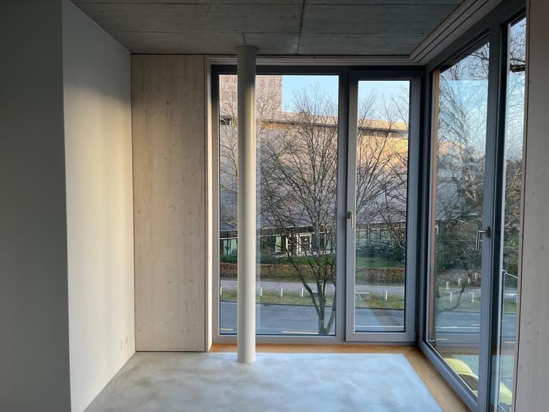 Exklusive 3.5-Zimmer-Attikawohnung mit grosser Terrasse in den Bäumen (4)