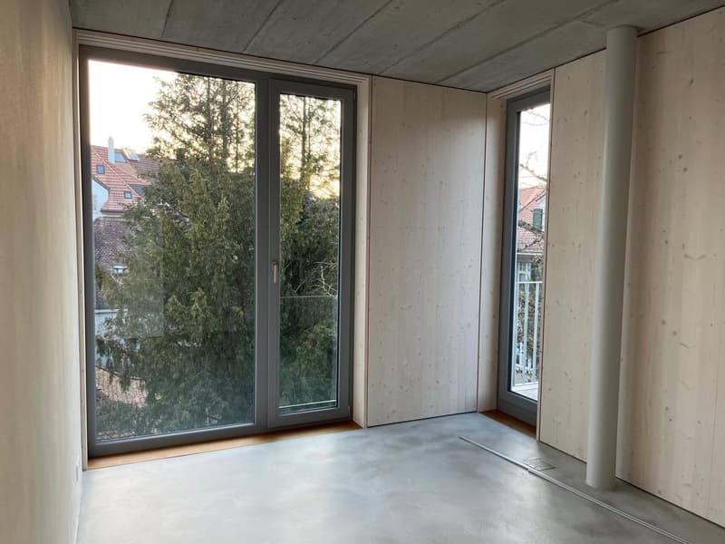 Exklusive 3.5-Zimmer-Attikawohnung mit grosser Terrasse in den Bäumen (12)