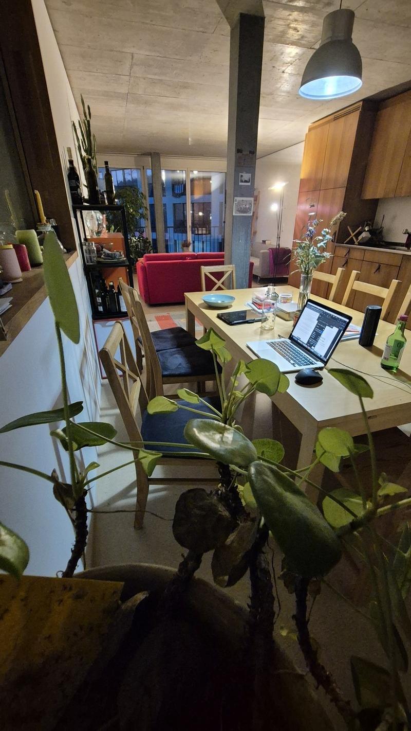 Freies WG Zimmer in der Kalkbreite (Wiedikon) (5)