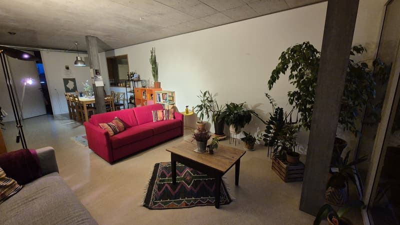Freies WG Zimmer in der Kalkbreite (Wiedikon) (4)