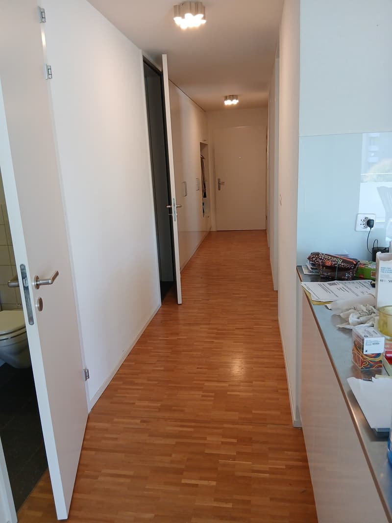 Helle Wohlfuehlwohnung zu vermieten - mit 2 Badezimmern, Geschirrspueler und Tiefgaragenplatz (11)