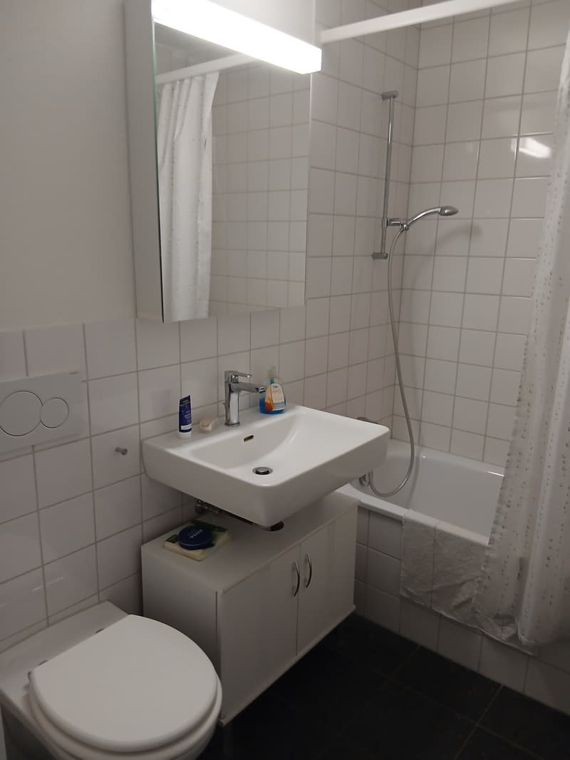 Helle Wohlfuehlwohnung zu vermieten - mit 2 Badezimmern, Geschirrspueler und Tiefgaragenplatz (9)
