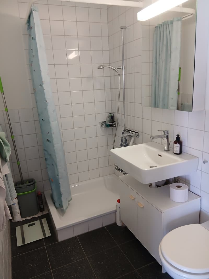 Helle Wohlfuehlwohnung zu vermieten - mit 2 Badezimmern, Geschirrspueler und Tiefgaragenplatz (10)