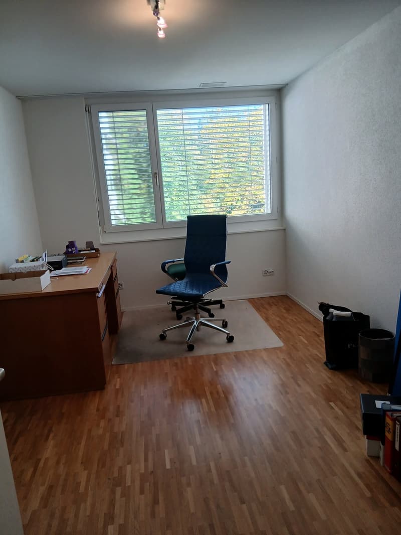 Helle Wohlfuehlwohnung zu vermieten - mit 2 Badezimmern, Geschirrspueler und Tiefgaragenplatz (8)