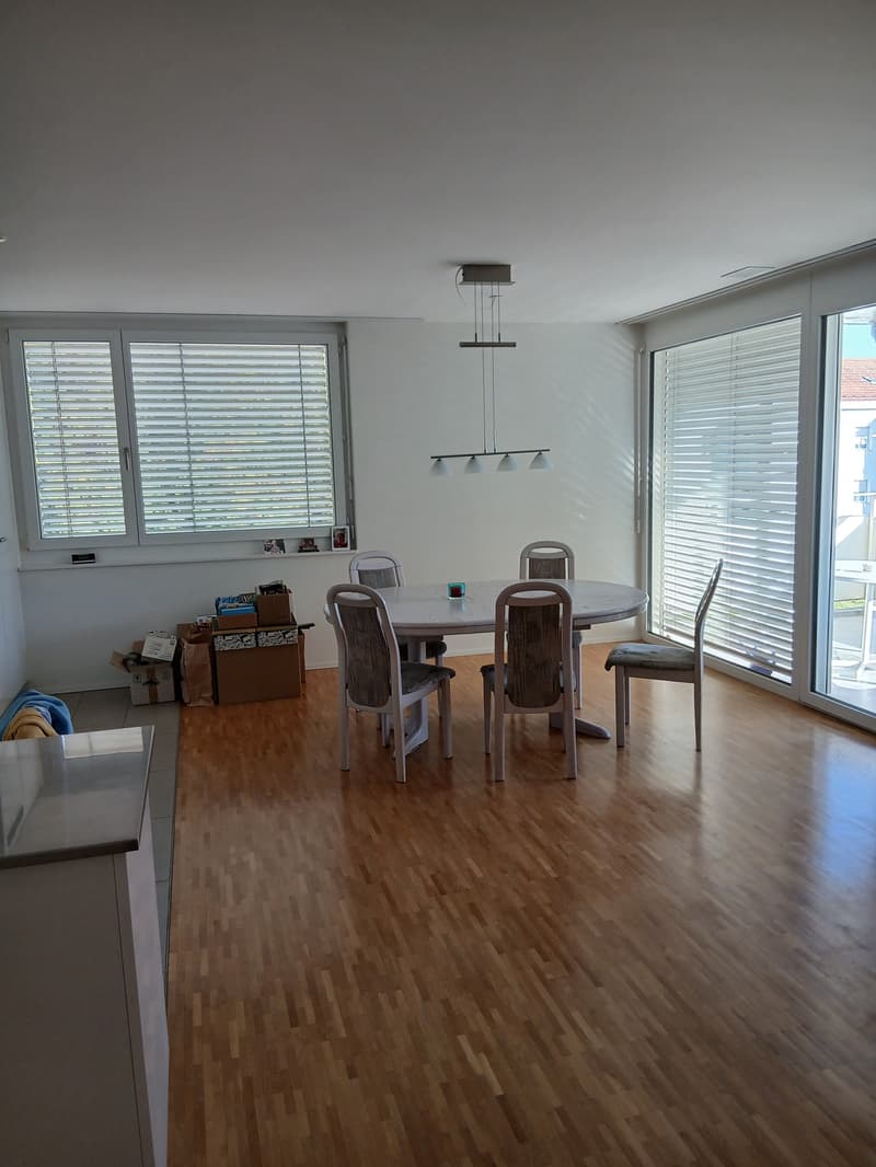 Helle Wohlfuehlwohnung zu vermieten - mit 2 Badezimmern, Geschirrspueler und Tiefgaragenplatz (5)