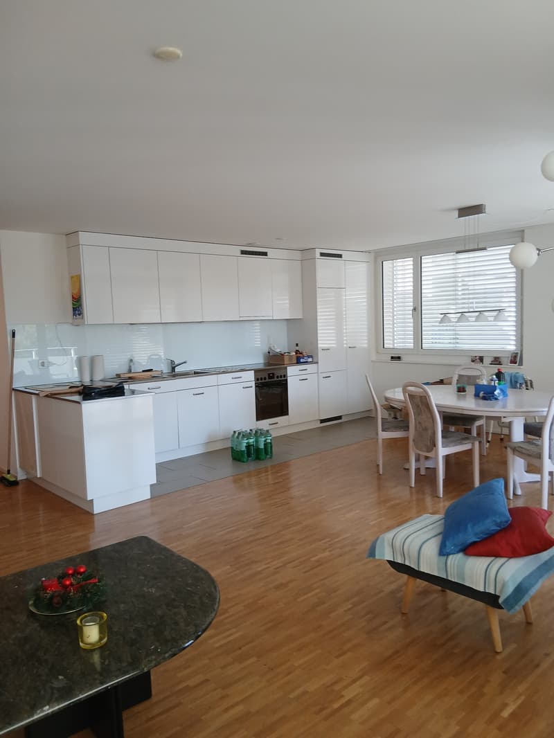 Helle Wohlfuehlwohnung zu vermieten - mit 2 Badezimmern, Geschirrspueler und Tiefgaragenplatz (3)