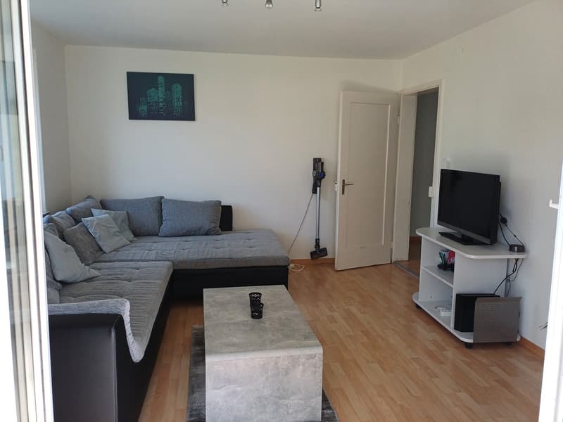 Furnished room available from 01.11.2026 to 31.01.2027 (3 months) in a shared flat in Zurich (4)