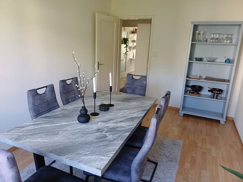 Furnished room available from 01.11.2026 to 31.01.2027 (3 months) in a shared flat in Zurich (6)