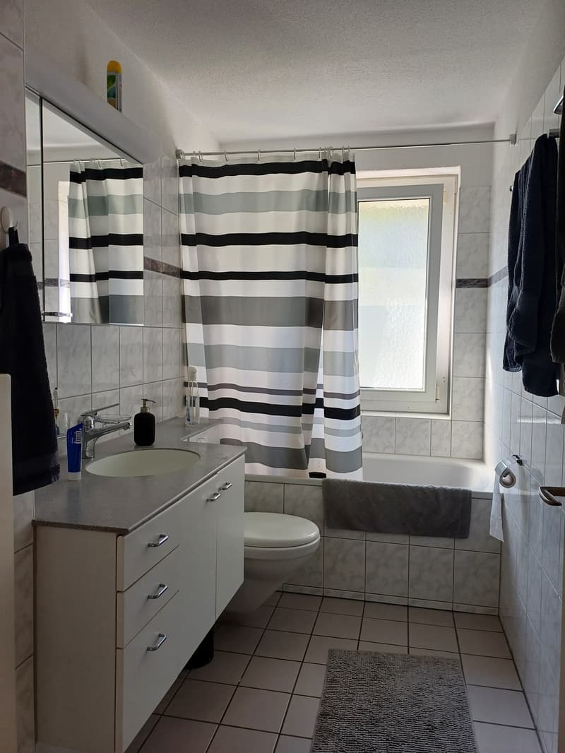 Furnished room available from 01.11.2026 to 31.01.2027 (3 months) in a shared flat in Zurich (8)