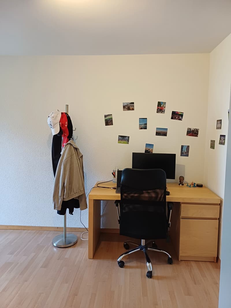 Furnished room available from 01.11.2026 to 31.01.2027 (3 months) in a shared flat in Zurich (3)