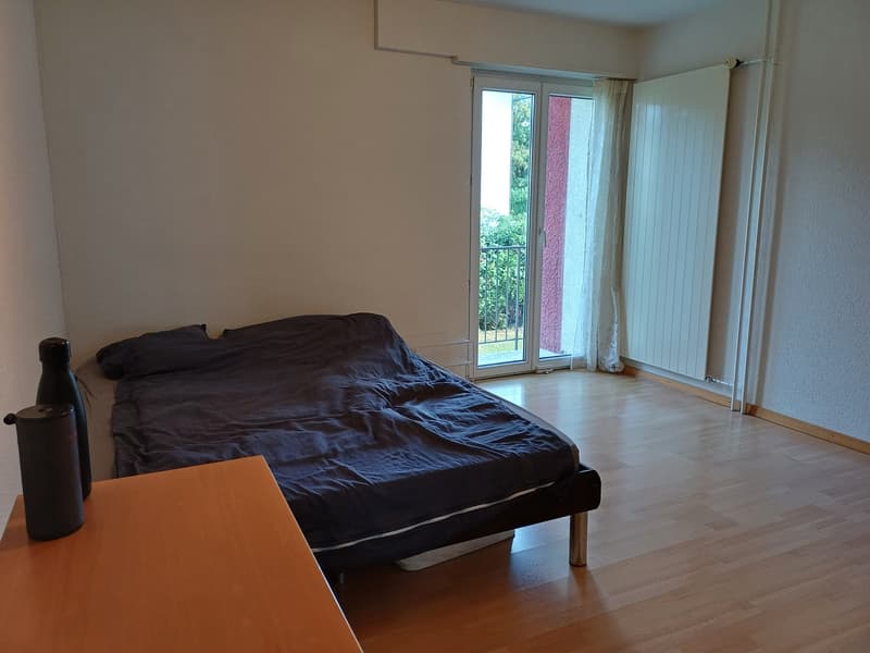 Furnished room available from 01.11.2026 to 31.01.2027 (3 months) in a shared flat in Zurich (2)