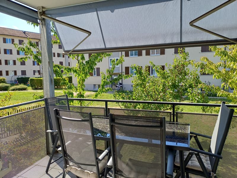 Furnished room available from 01.11.2026 to 31.01.2027 (3 months) in a shared flat in Zurich (5)