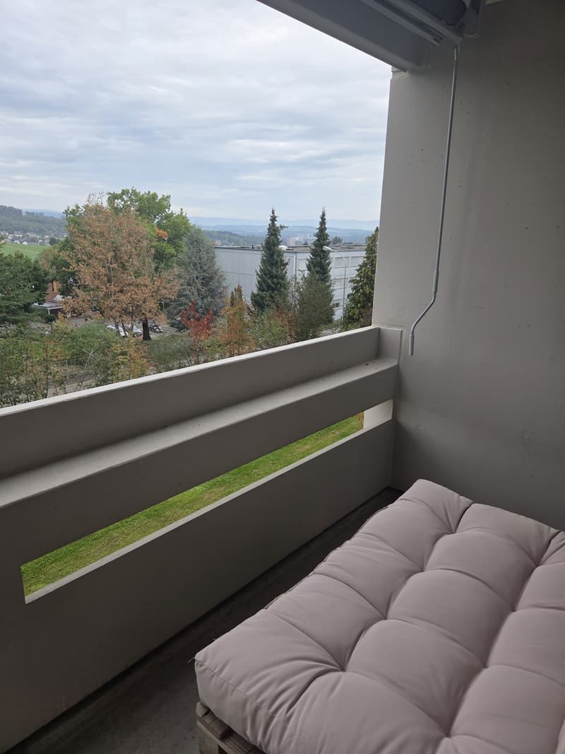 3.5 Zimmerwohnung direkt am Feldrand (8)