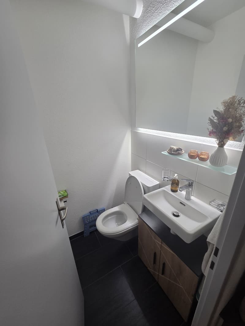 3.5 Zimmerwohnung direkt am Feldrand (7)