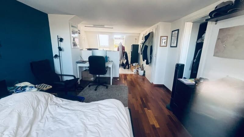 Amazing room available in Zürich Wiedikon looking for a new flatmate ASAP! (4)