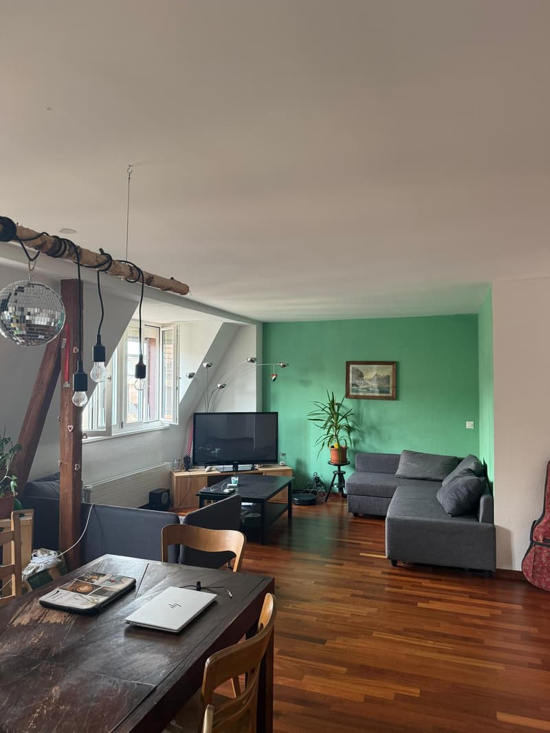 Amazing room available in Zürich Wiedikon looking for a new flatmate ASAP! (6)