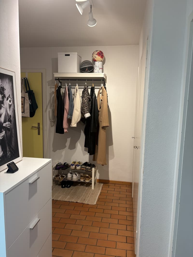 3- Zimmerwohnung in Winterthur zur Untermiete (7)