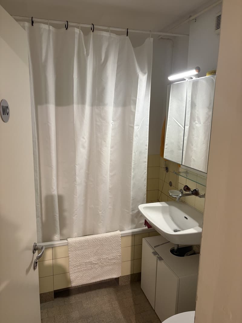 3- Zimmerwohnung in Winterthur zur Untermiete (5)