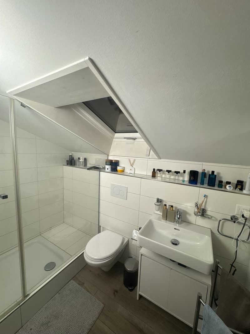 Helle, moderne Dachwohnung mit offener Küche (3)