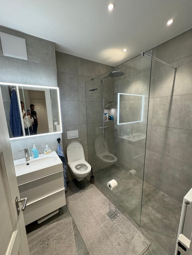 Room available in Wiedikon (5)