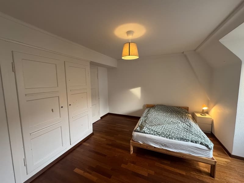 Fully furnished room in Zurich city centre (Seefeld) with all bills included + cleaning (2)