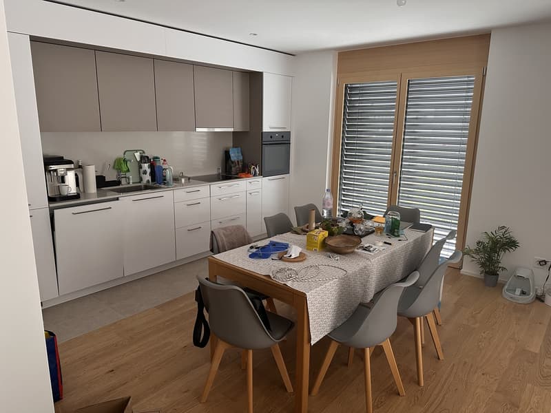 Attique neuf 2,5 pièces 65m² avec terrasse de 40 m²  Renens (8)